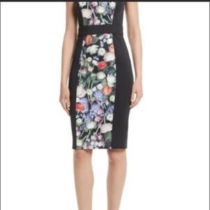 Ted Baker Alva Kensington Dress